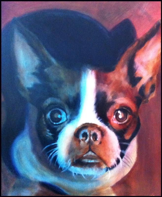 Boston terrier portrait