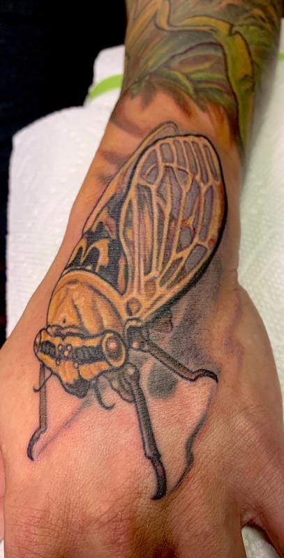 Cicada tattoo