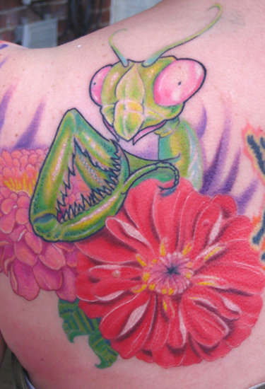 Praying Mantis