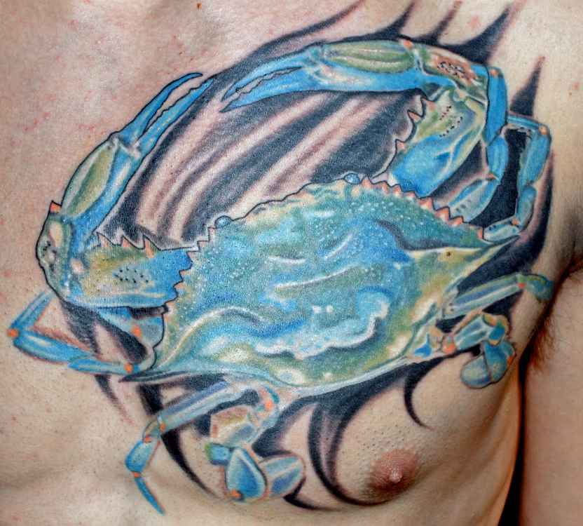 Blue crab