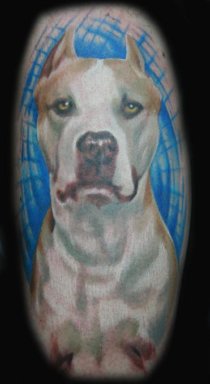 Brent's Pit Diablo