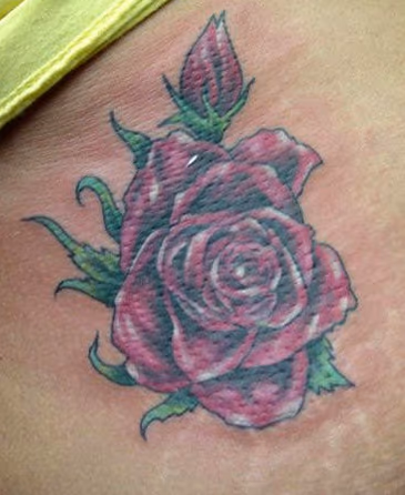 Red rose