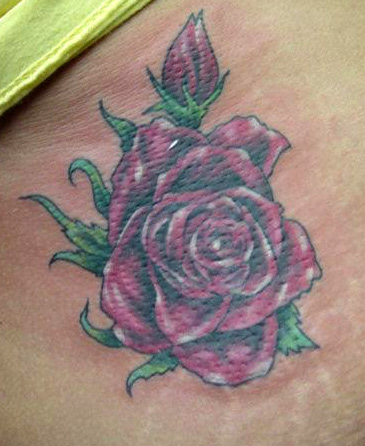 Red rose