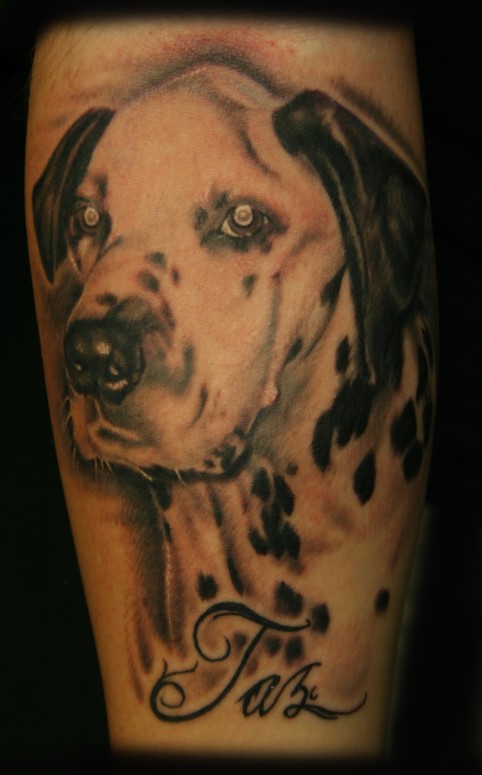 Dalmatian Portrait Tattoo