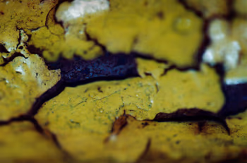 topographical research IV