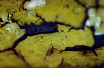 topographical research IV