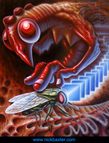 Metamorphosis