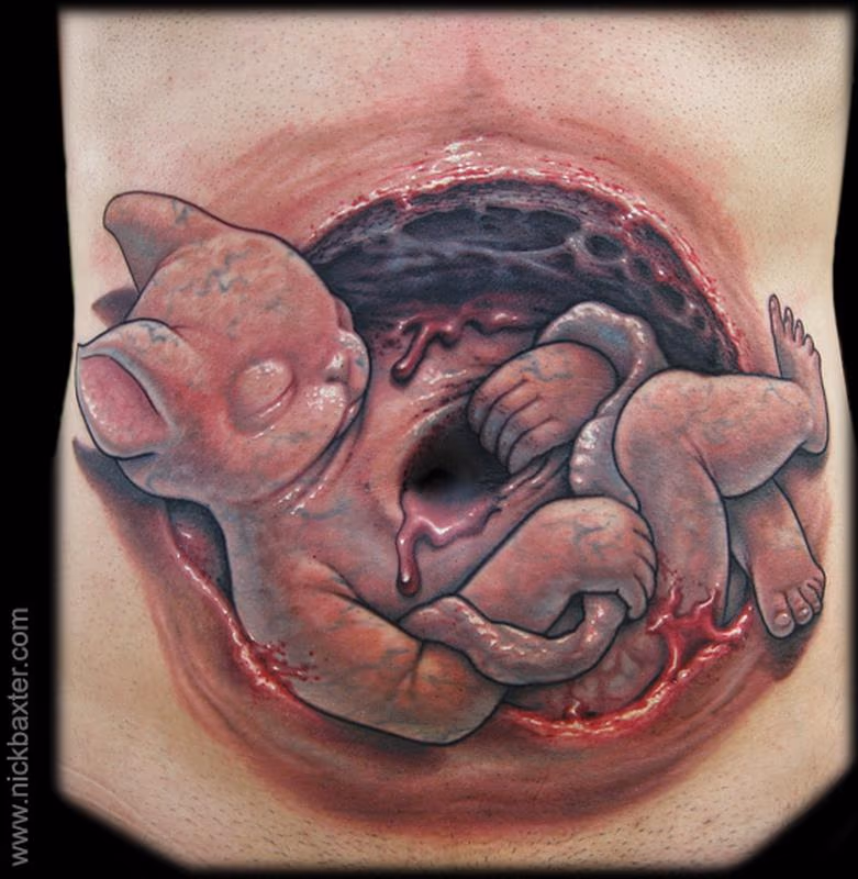 Rabbit Fetus