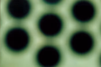 pattern of behavior VII