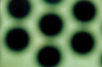 pattern of behavior VII