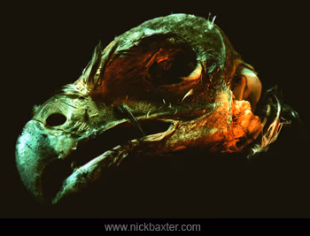 postmortem