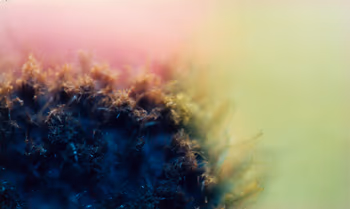 topographical research XV