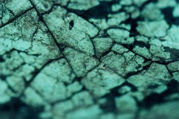 topographical research V