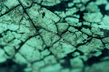 topographical research V