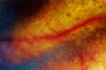 topographical research XIV