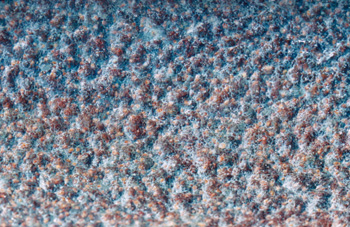 topographical research VII