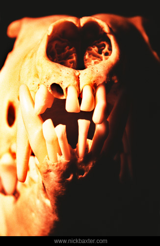 postmortem