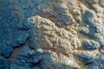 topographical research III