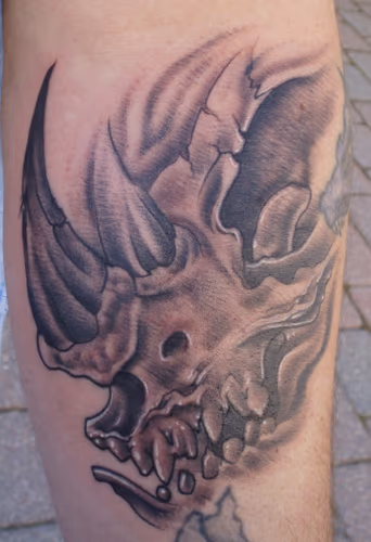 Rhino Skull