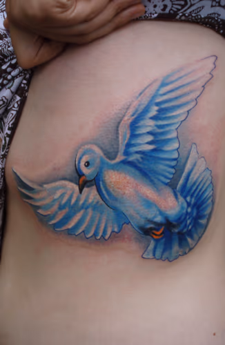 Blue dove