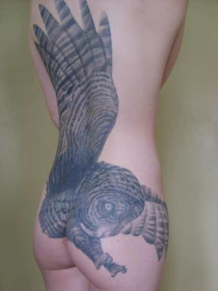 Great grey owl