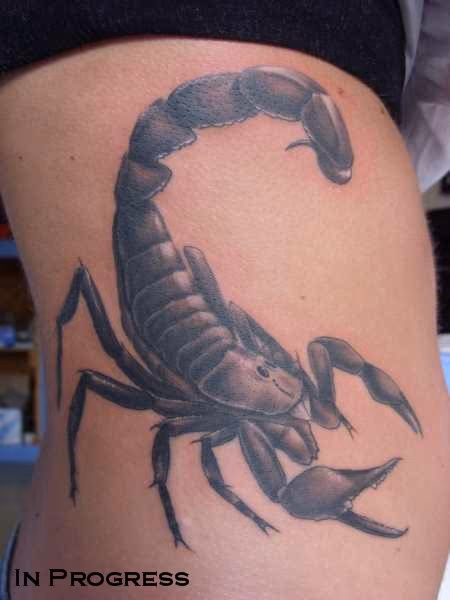 Scorpion