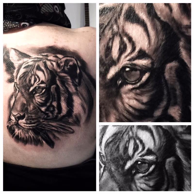 Portrait of a tiger