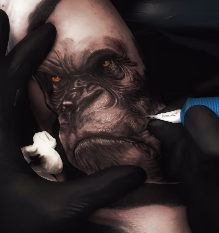 gorilla