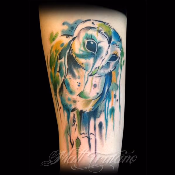 watercolor owl