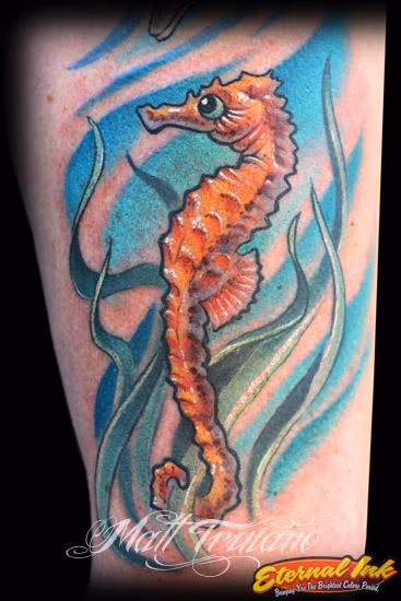 seahorse