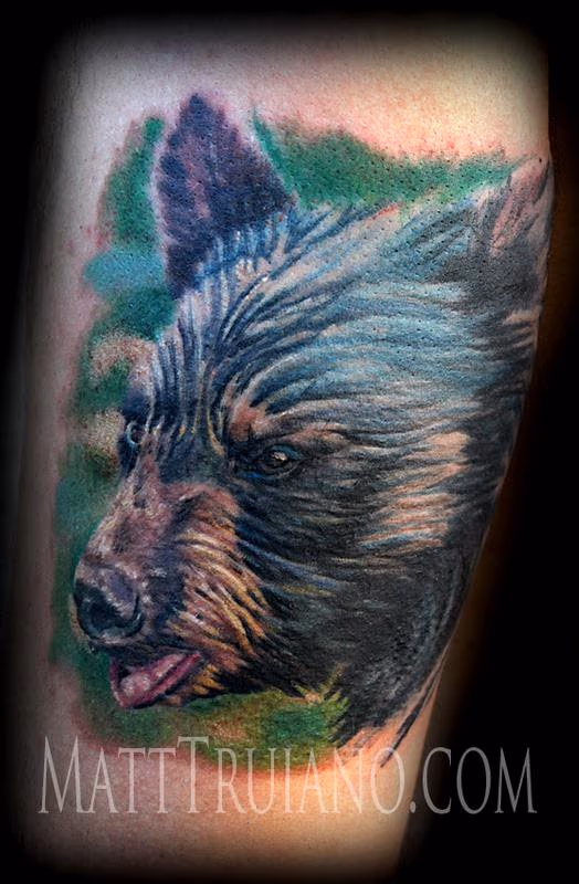 Black bear