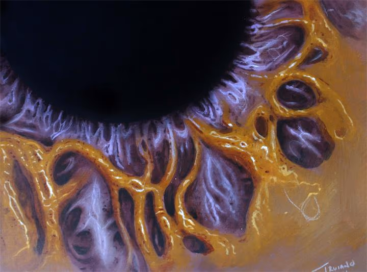 The Edge Of A SOUL
