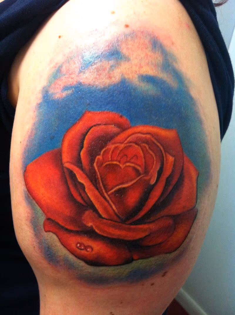 Meditation Rose