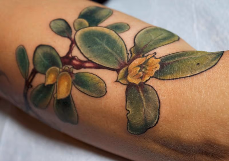 succulent plant tattoo