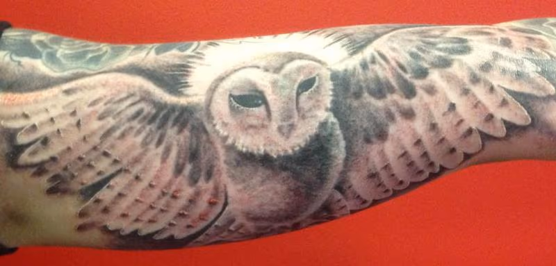 Freehand owl