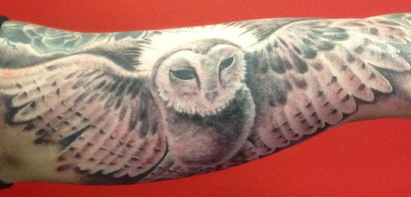 Freehand owl