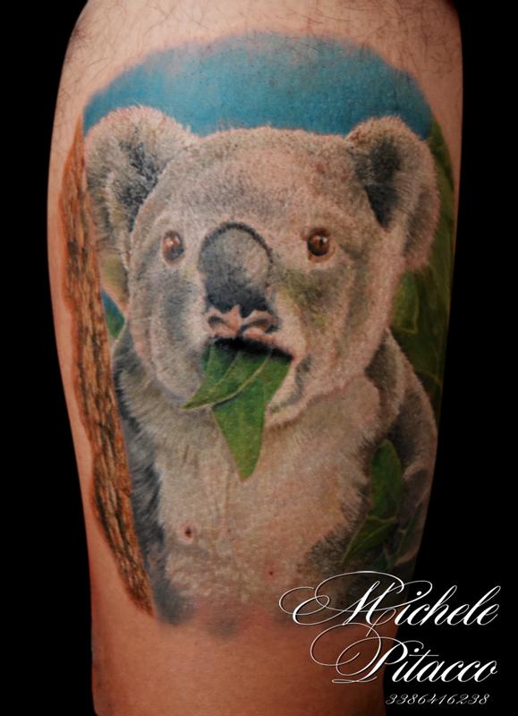 koala