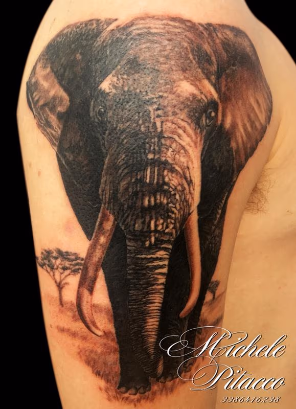 elefant