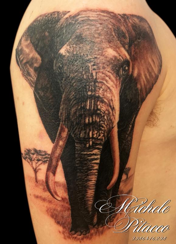 elefant