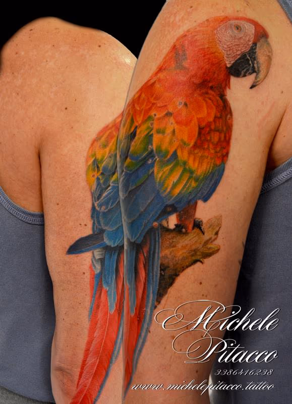 Parrot