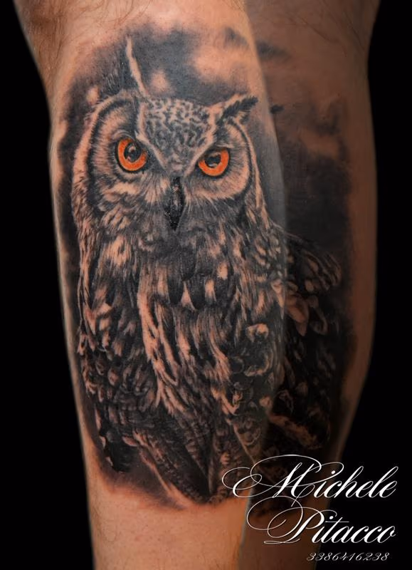 Owl