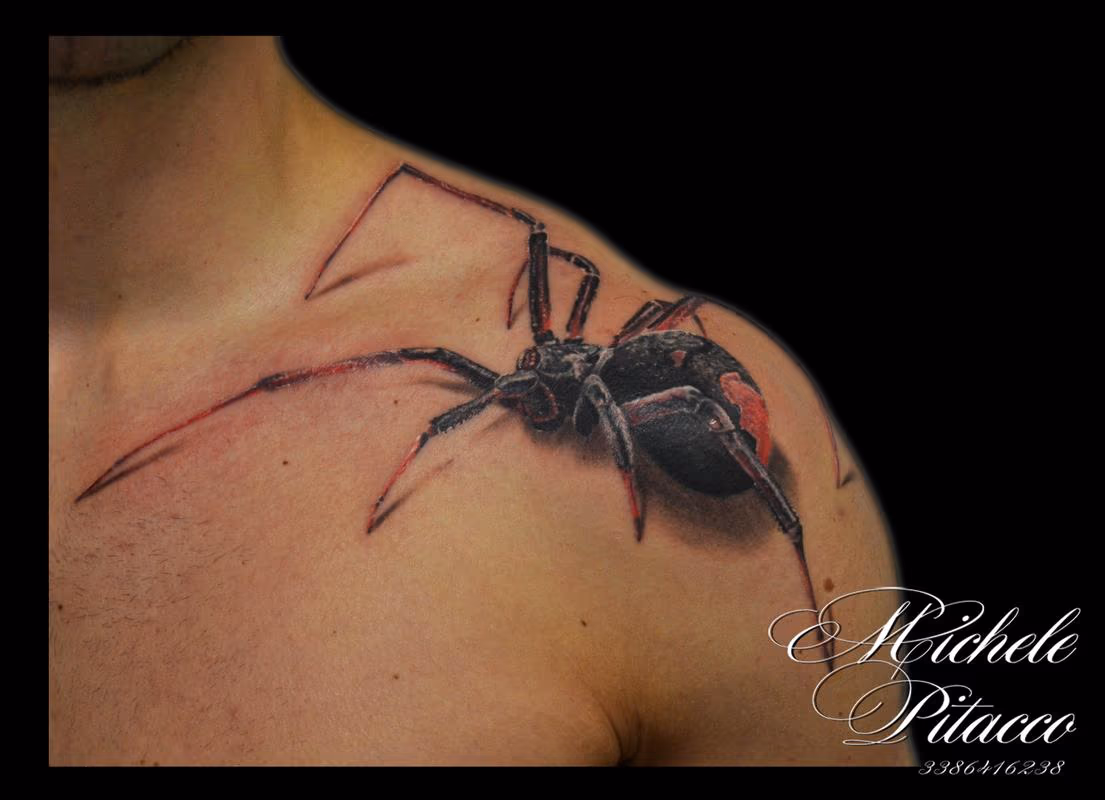 Spider