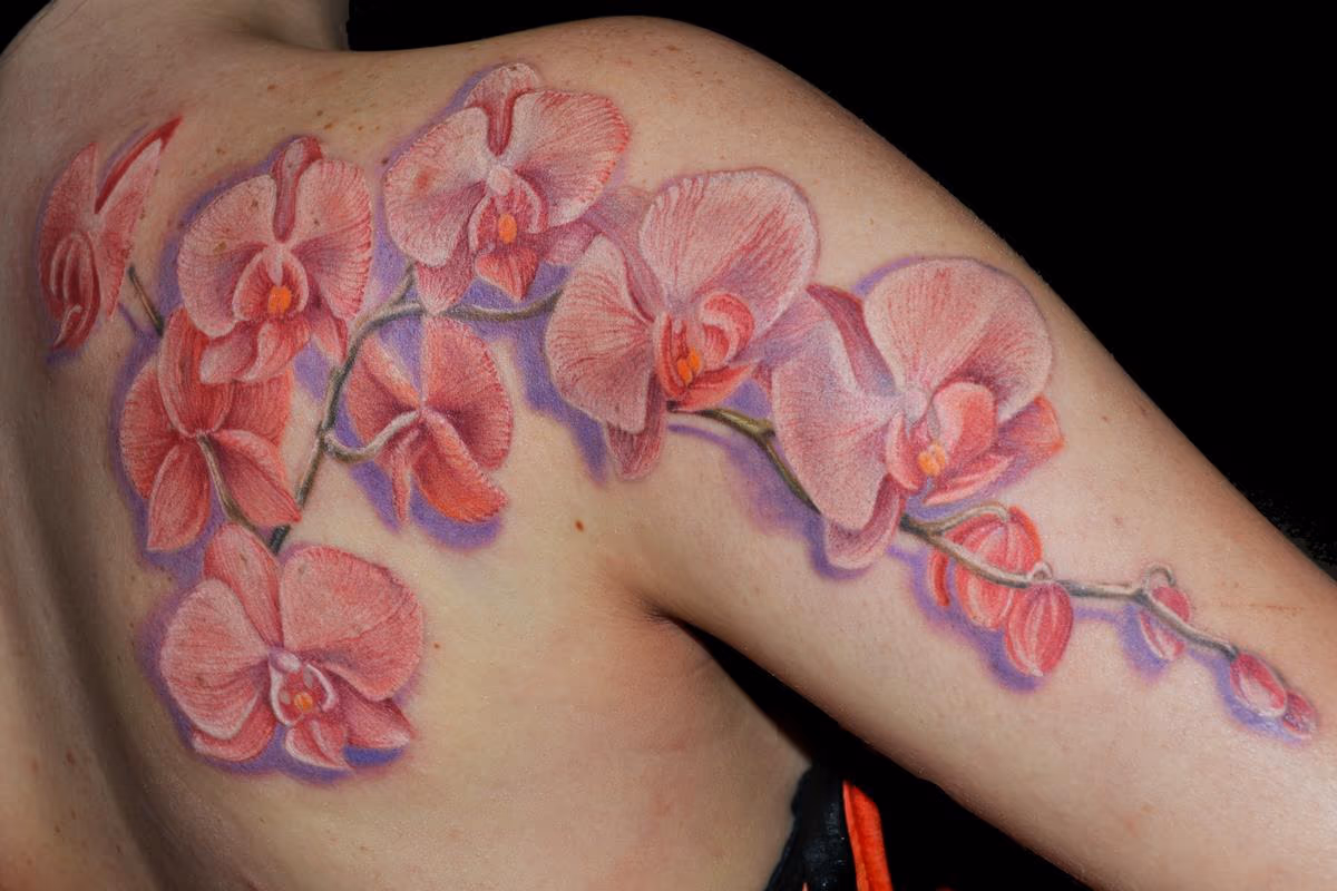 Orchid