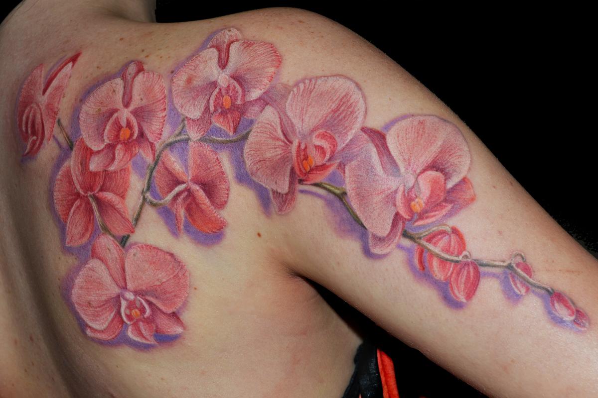 Orchid