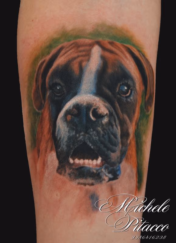 Dog Boxer