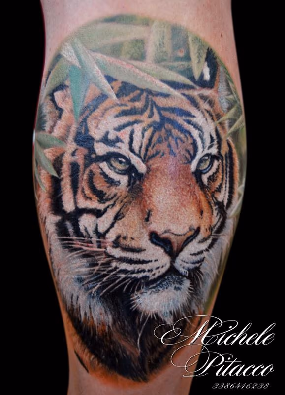 tiger
