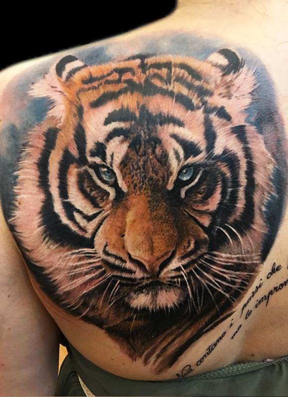 Tiger