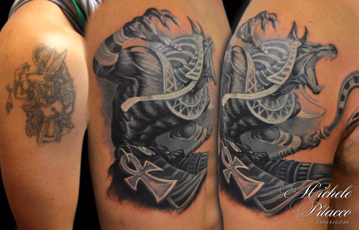 cover up Anubi