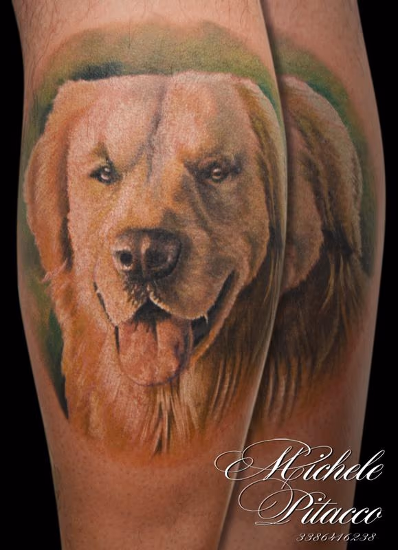 Golden retriver