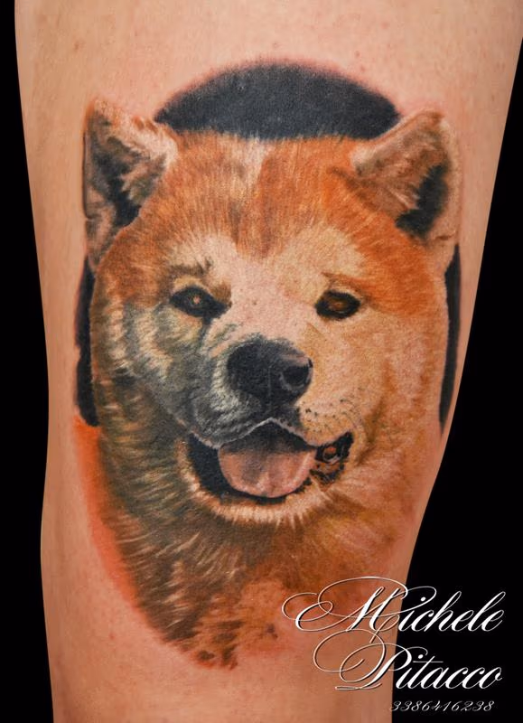 Akita Dog